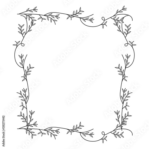 Photo frame with silhouette creepers nature design vector illustration