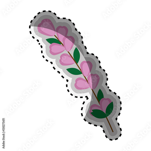 sticker color Silhouette flowers with oval leaves and ramifications vector illustration