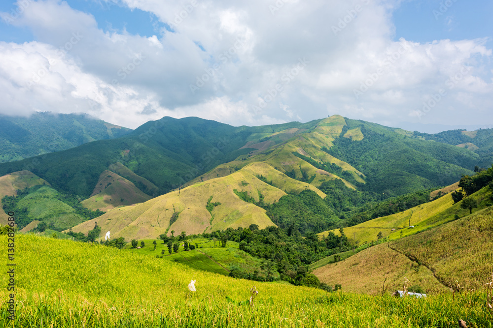 View of the rice field on the mountain in Pua district, Nan province, Thailand.
