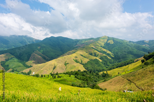 View of the rice field on the mountain in Pua district  Nan province  Thailand.