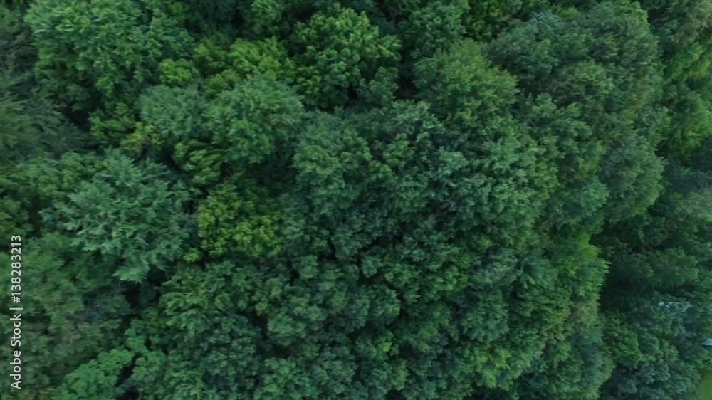 Video with quadcopter which flew over the tops of the trees on the hills in the mountainous locality and then circled over them. Video with quadcopter which flew over the tops of the trees on the hills in the mountainous locality and then circled over them.