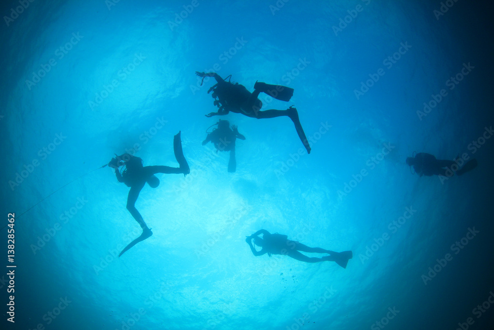 Scuba dive diver diving