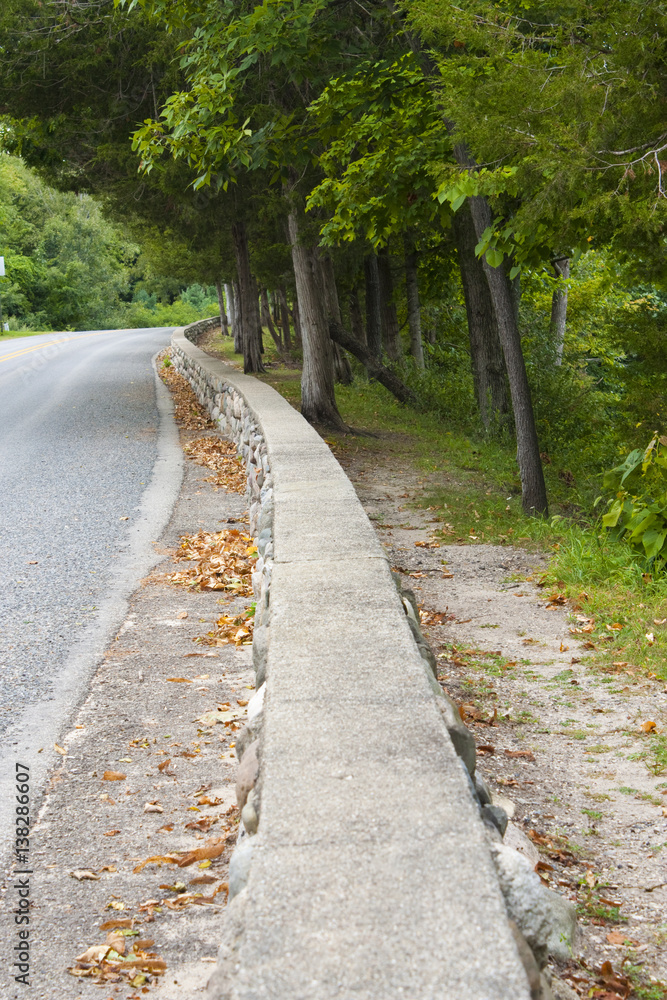 Obraz premium Pathway