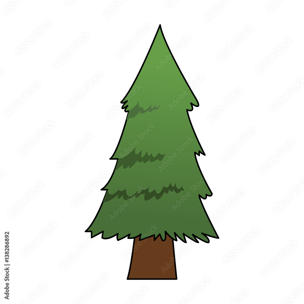 pine tree icon image vector illustration design 