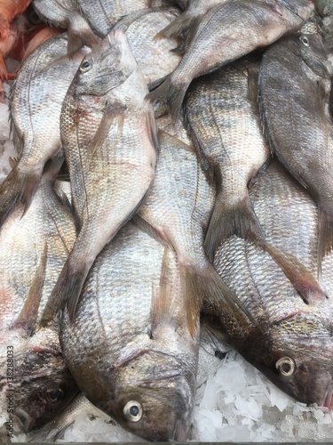 Pile of dead fish on ice at the outdoor food market in Flushing, Queens, New York City. Chinatown market with fresh fish.
