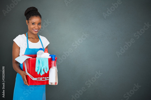 Female Janitor Holding Cleaning Equipment photo