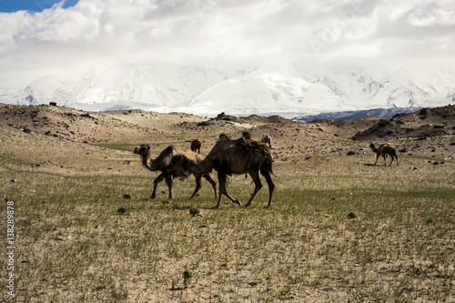 Karakoram Mountains