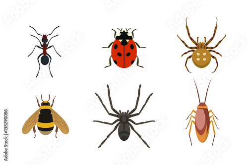 Insect icon flat isolated nature flying bugs beetle ant and wildlife spider grasshopper or mosquito cockroach animal biology graphic vector illustration. © partyvector