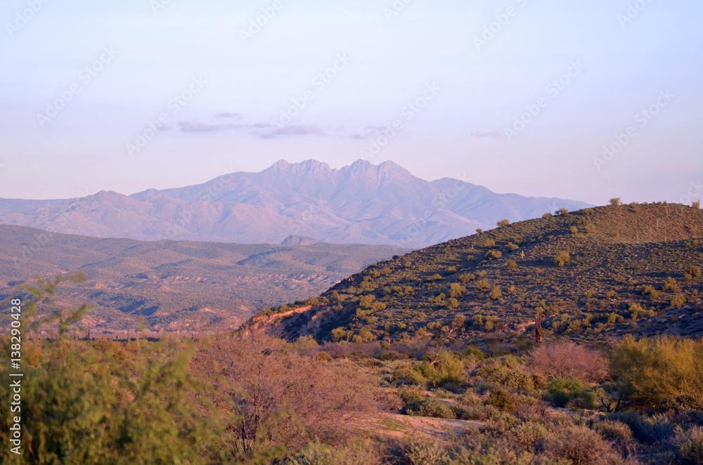 After an unusually heavy winter rain, McDowell Mountain Regional Park looks unusually green and lush.  