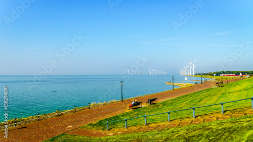 Wind Farm in the inland sea named IJselmeer seen from the historic fishing village of Urk in the Netherlands