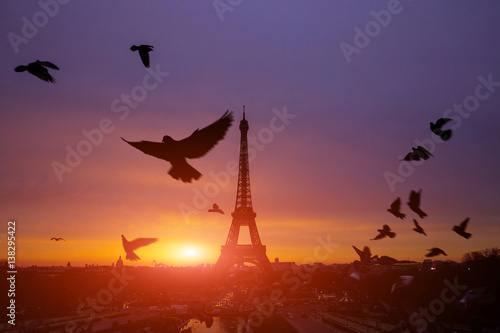 Awesome incredible pink-orange-lilac sunrise. View of the Eiffel Tower from the Trocadero. Birds doves flying in the foreground. Beautiful cityscape in backlit morning sunbeam. Paris. France.