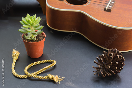 Cactus ukulele pine cones on a background of black.