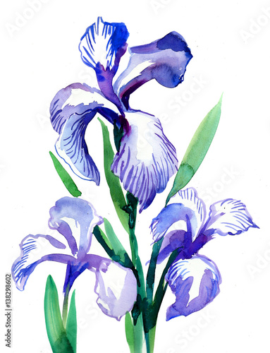 Tablou pe pânză Watercolor irises