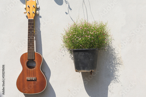Ukulele Wall Hanging with flower pots.