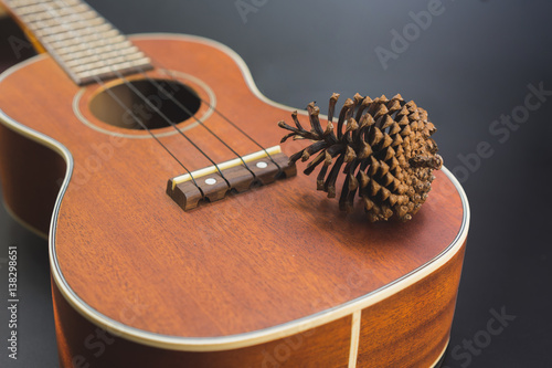 pine cones on the ukulele.