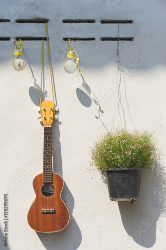 Ukulele Wall Hanging with flower pots.