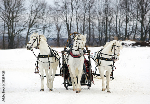 The Russian troika - three of horses in sledge © horsemen