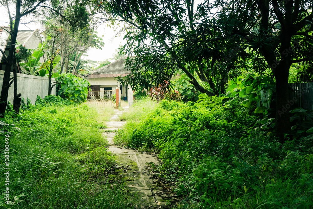 A little pathway in the middle of grass yard direct to a house building surrounding by big trees photo taken in Depok Indonesia A little pathway in the middle of grass yard direct to a house building surrounding by big trees photo taken in Depok Indonesia