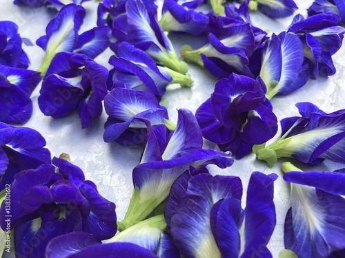 butterfly bean flower