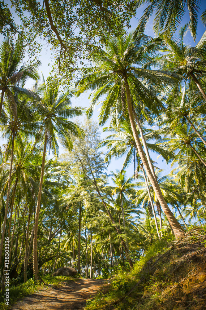 Fototapeta premium Parks in Thailand