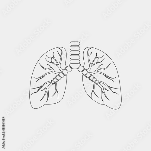 lung vector