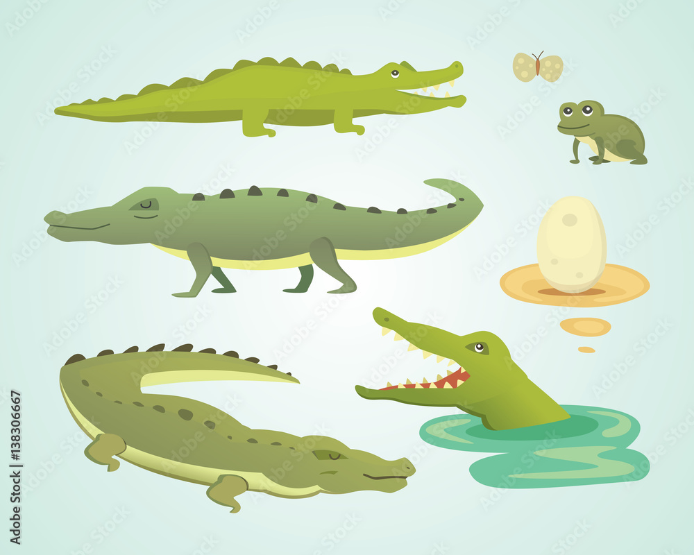 Fototapeta premium Crocodile Cute Character set. Aligator vector cartoon illustration