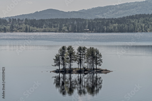 Trees in small island at Kroderen lake, Norway.