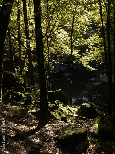 Aisttal im Herbst, Pregarten, Mühlviertel, Oberösterreich, Österreich photo