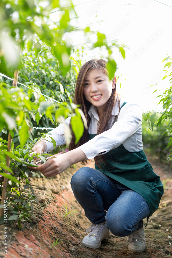 young asian woman working in green house young asian woman working in green house
