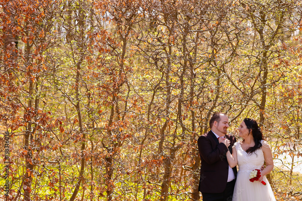 Groom and bride in nature Groom and bride in nature