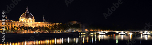 Lyon's panorama
