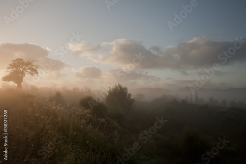 manacor.fog