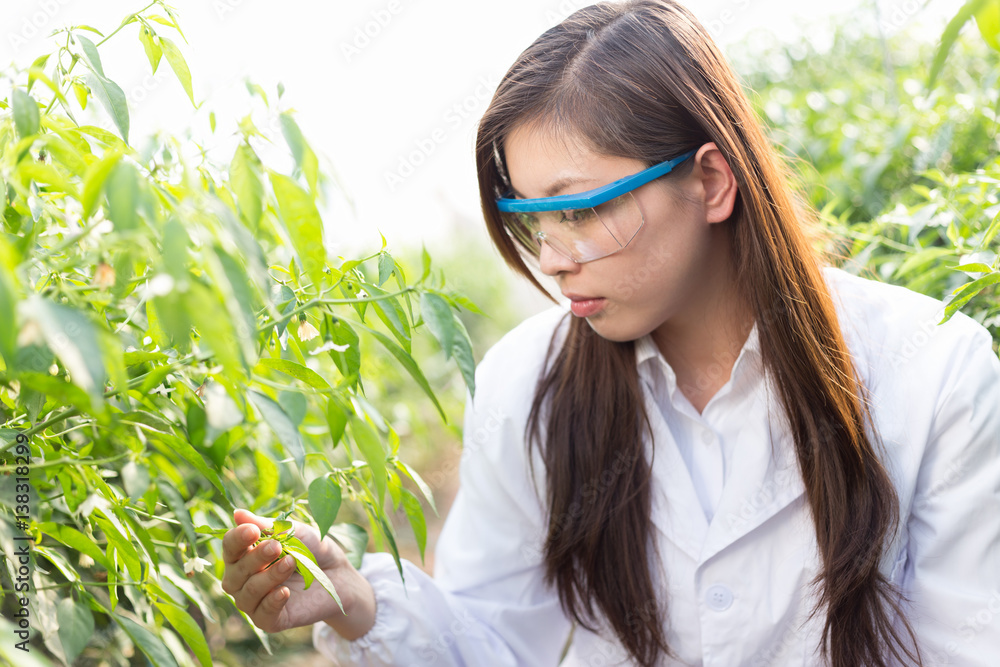 young asian woman working in green house young asian woman working in green house