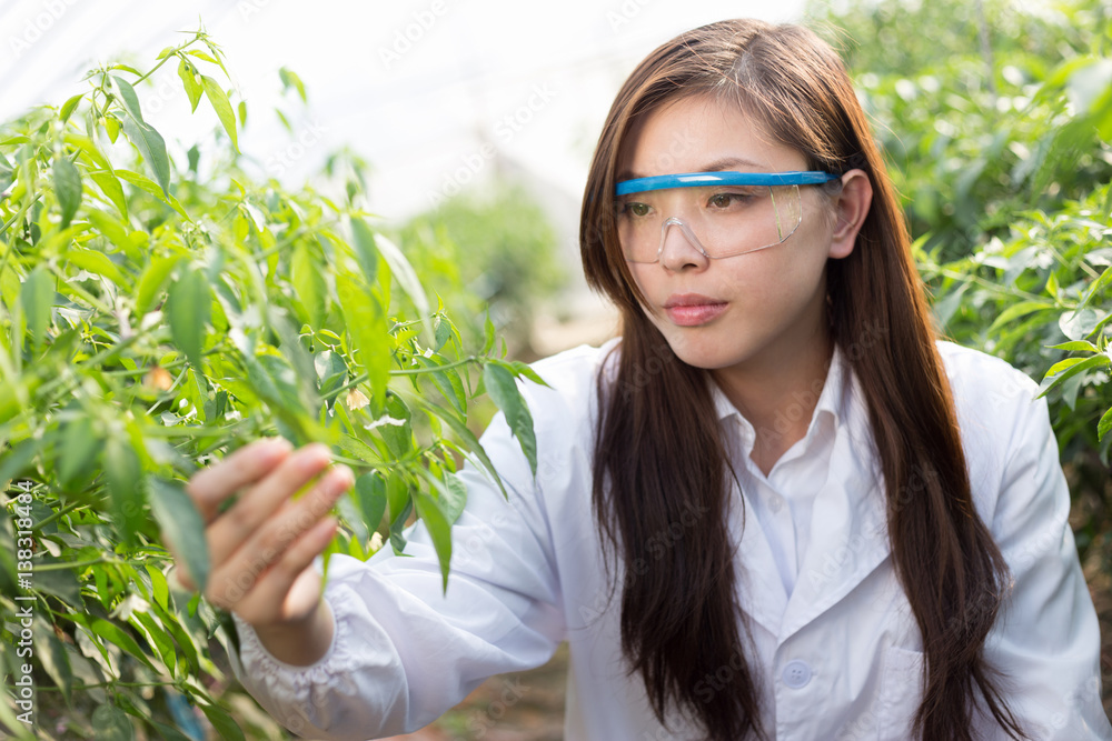 young asian woman working in green house young asian woman working in green house