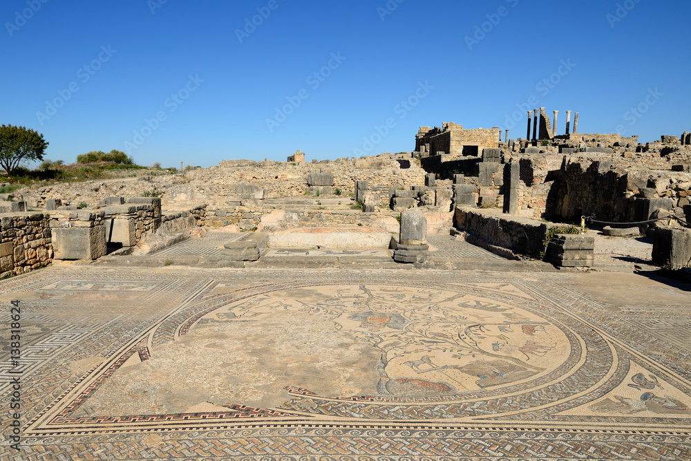Ruins of the Roman Volubilis city in Morocco