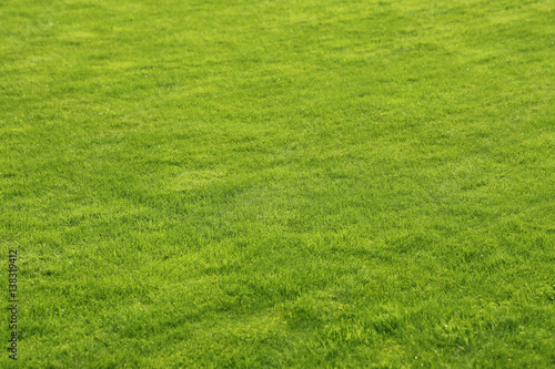 Green lawn background © Dinadesign