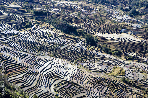  Yuanyang Rice Terraces in Yunnan province, China