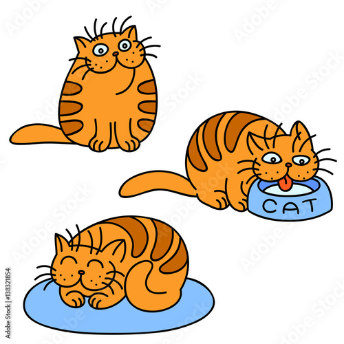 cartoon fat cat emoticons set. vector illustration.
