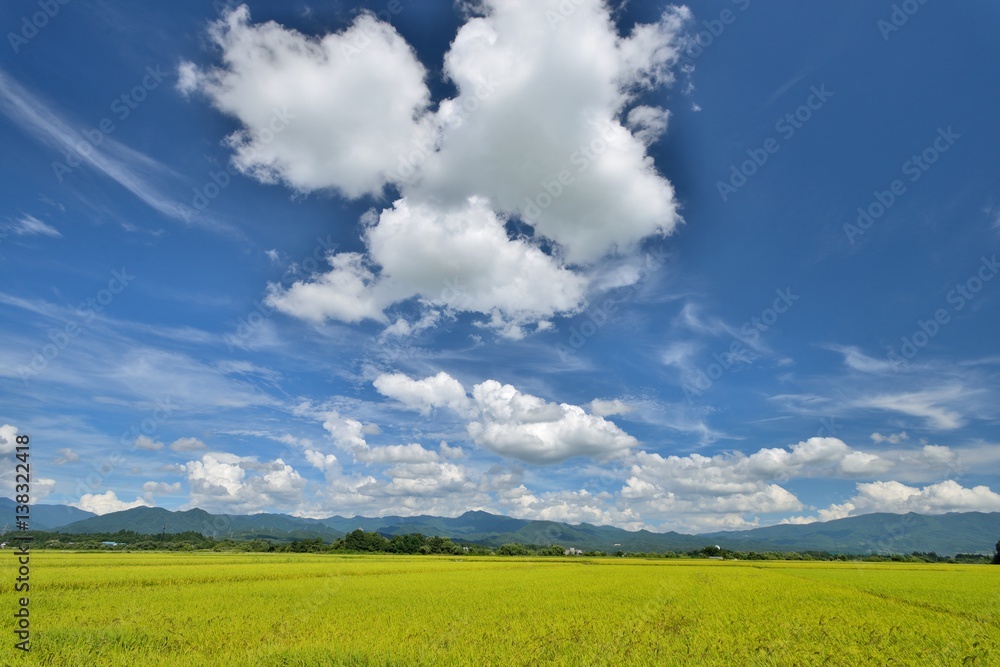 秋の空と田園の風景