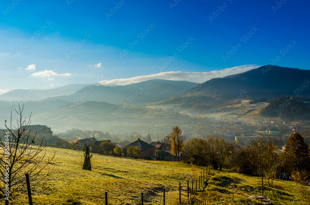 Obraz premium autumn landscape, a tree without leaves, iny on the green grass, the blue mountains in the fog in the background.