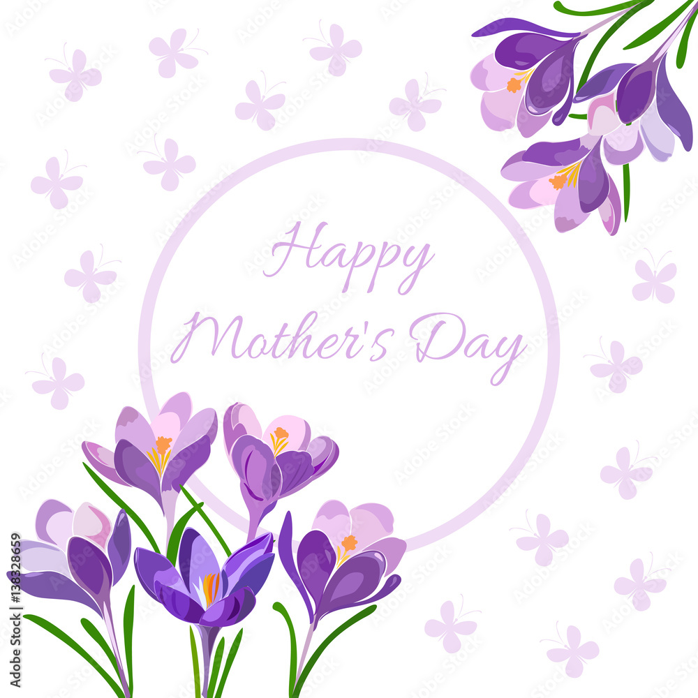 Greeting card with spring flowers crocuses, round frame, greeting text and background with pink butterflies. Greeting card with spring flowers crocuses, round frame, greeting text and background with pink butterflies.