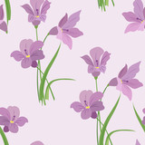 Seamless pattern with spring flowers freesias on lilac background.