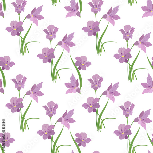  Seamless pattern with spring flowers of freesia, saffron, crocus, white background