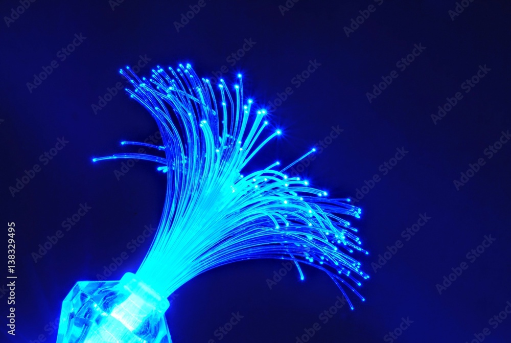 Obraz premium Optical fibers