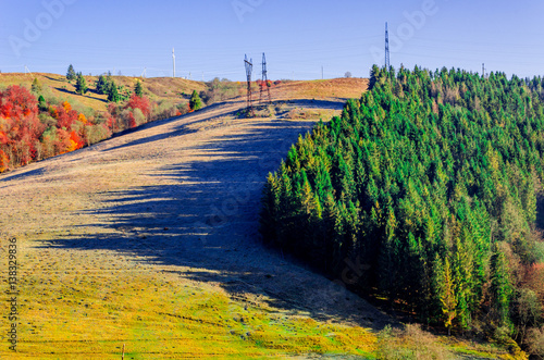 autumn landscape, a tree without leaves, iny on the green grass, the blue mountains in the fog in the background. photo