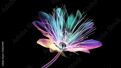 color glass flower isolated , the passion flower photo
