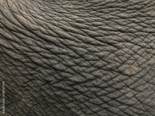 Elephant leather texture background