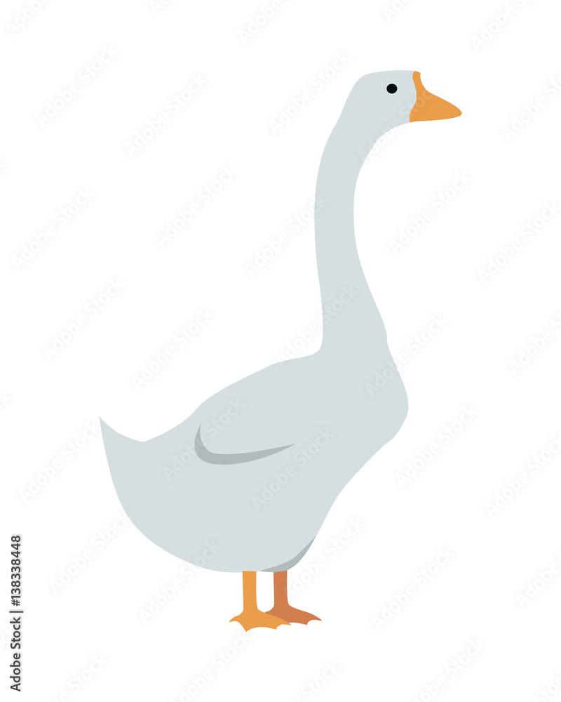 Obraz premium Goose Vector Illustration in Flat Design