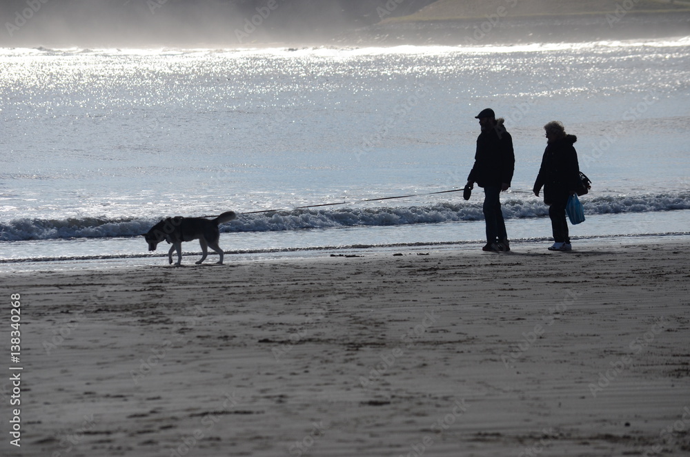 A couple at the seaside with a dog