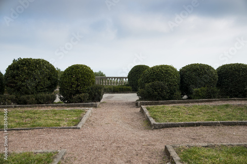 boxwood bushes with a balustrade